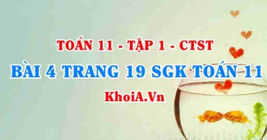 Bài 4 trang 19 SGK Toán 11 Tập 1 Chân trời sáng tạo